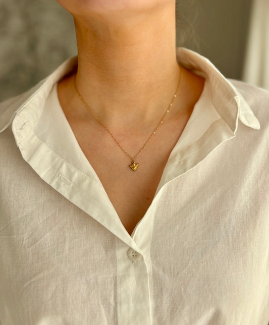 Collier PIA